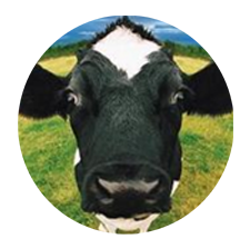 ../_images/moocowmoo.png